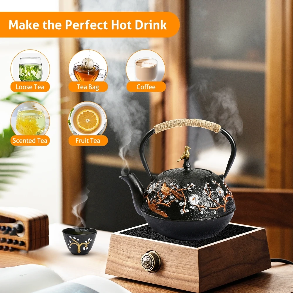 Cast Iron Teapot Set with Alco - Cast Iron Teapot ulasan dan harga